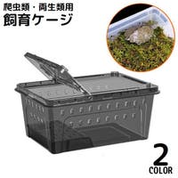 PlusNao（プラスナオ）のファッション雑貨/ペットグッズ