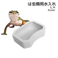 PlusNao(プラスナオ)のファッション雑貨/ペットグッズ