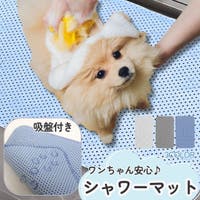 PlusNao（プラスナオ）のファッション雑貨/ペットグッズ