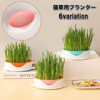 PlusNao（プラスナオ）のファッション雑貨/その他雑貨