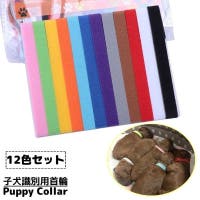 PlusNao（プラスナオ）のファッション雑貨/ペットグッズ