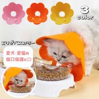 PlusNao（プラスナオ）のファッション雑貨/ペットグッズ