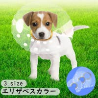 PlusNao（プラスナオ）のファッション雑貨/ペットグッズ