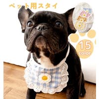 PlusNao(プラスナオ)のファッション雑貨/ペットグッズ