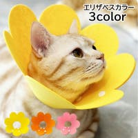 PlusNao（プラスナオ）のファッション雑貨/ペットグッズ