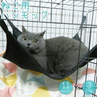 PlusNao（プラスナオ）のファッション雑貨/ペットグッズ