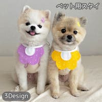 PlusNao（プラスナオ）のファッション雑貨/ペットグッズ