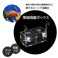 PlusNao（プラスナオ）のファッション雑貨/ペットグッズ