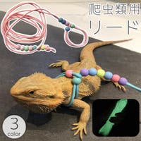 PlusNao(プラスナオ)のファッション雑貨/ペットグッズ