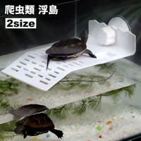 PlusNao（プラスナオ）のファッション雑貨/ペットグッズ