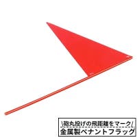 PlusNao（プラスナオ）のスポーツ/その他スポーツ