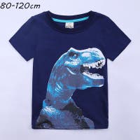 PlusNao（プラスナオ）のトップス/Ｔシャツ