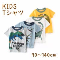 PlusNao（プラスナオ）のトップス/Ｔシャツ