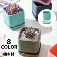 PlusNao（プラスナオ）のファッション雑貨/その他ホビー・ペット雑貨
