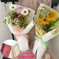 PlusNao（プラスナオ）のファッション雑貨/その他ホビー・ペット雑貨