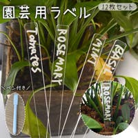 PlusNao(プラスナオ)のファッション雑貨/その他ホビー・ペット雑貨