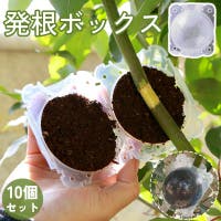 PlusNao（プラスナオ）のファッション雑貨/その他ホビー・ペット雑貨