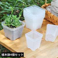 PlusNao（プラスナオ）のファッション雑貨/その他ホビー・ペット雑貨