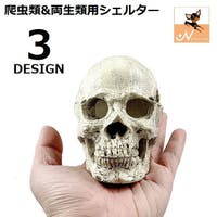 PlusNao（プラスナオ）のファッション雑貨/ペットグッズ