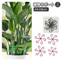 PlusNao（プラスナオ）のファッション雑貨/その他ホビー・ペット雑貨