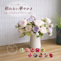 PlusNao（プラスナオ）のファッション雑貨/その他ホビー・ペット雑貨