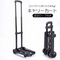 PlusNao（プラスナオ）のアウトドア/その他アウトドア・キャンプ