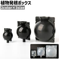 PlusNao（プラスナオ）のファッション雑貨/その他ホビー・ペット雑貨