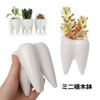 PlusNao（プラスナオ）のファッション雑貨/その他雑貨