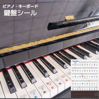 PlusNao（プラスナオ）のファッション雑貨/その他ホビー・ペット雑貨