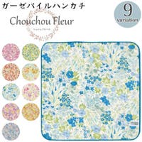 PlusNao（プラスナオ）の小物/ハンカチ