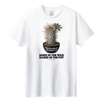 printrium | PRTM0002698