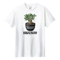 printrium | PRTM0002702