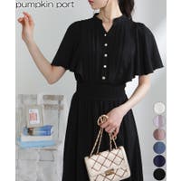 Pumpkin  Port | PPNW0005342