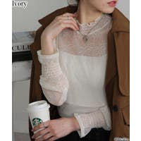 Pumpkin  Port | PPNW0005259