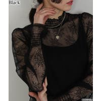 Pumpkin  Port | PPNW0005259