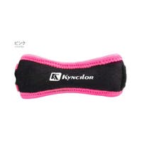 RAiseNsE  | RSCM0000858