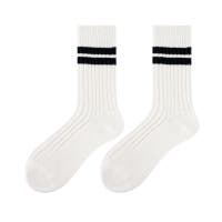 RAiseNsE  | RSCM0008729