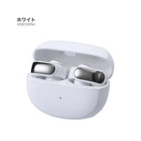 RAiseNsE  | RSCM0008739