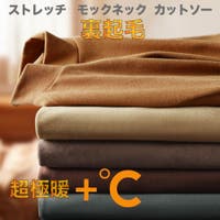 RAiseNsE （ライセンス）のトップス/カットソー