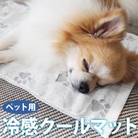 sankyo shokai  | SNKC0002714