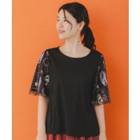 ScoLar | SRSW0000094