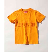 SHIFFON | SHNM0006265