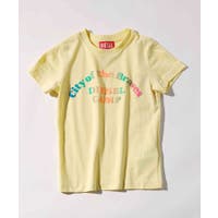 SHIFFON | SHNM0006266