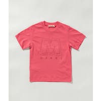 SHIFFON | SHNM0006334