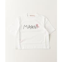 SHIFFON（シフォン）のトップス/Ｔシャツ