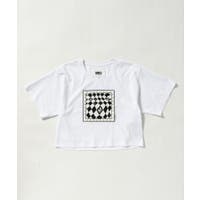 SHIFFON | SHNM0006359
