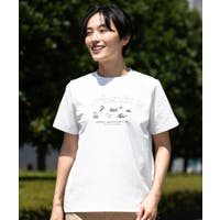 SHIFFON | SHNM0005971