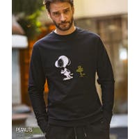 SHIFFON （シフォン）のトップス/Ｔシャツ