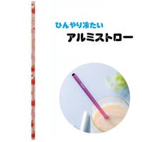Skater（スケーター）のホビー・ペット・雑貨/パーティーグッズ