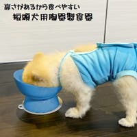 Skater（スケーター）のファッション雑貨/ペットグッズ